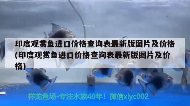 印度觀賞魚進口價格查詢表最新版圖片及價格(印度觀賞魚進口價格查詢表最新版圖片及價格) 觀賞魚進出口