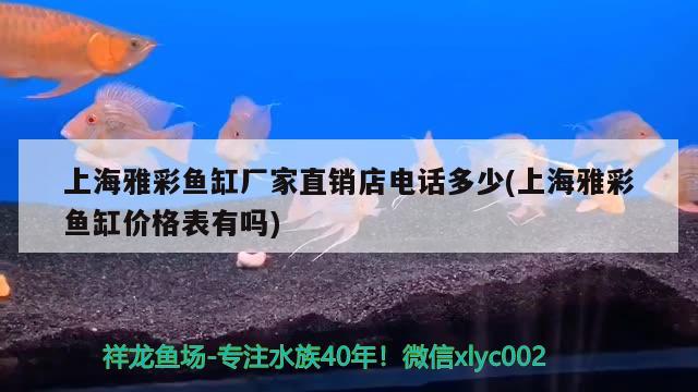 上海雅彩魚缸廠家直銷店電話多少(上海雅彩魚缸價格表有嗎) 廣州龍魚批發(fā)市場