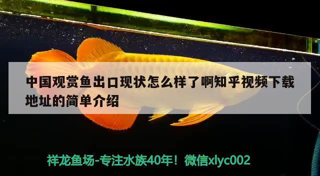 中國觀賞魚出口現(xiàn)狀怎么樣了啊知乎視頻下載地址的簡單介紹 觀賞魚進出口