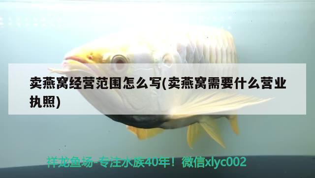 紅十字魚壽命多長?。杭t細胞的生存周期為多久 觀賞魚 第3張