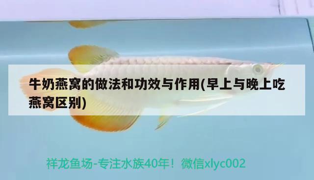 長春哪里買魚缸好一點(diǎn)的（長春哪里買魚缸好一點(diǎn)的地方） 南美異型魚