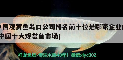 魚(yú)缸深景制作方法視頻 魚(yú)缸深景制作方法視頻教學(xué) 暹羅巨鯉