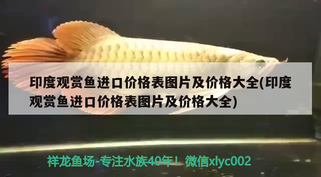 印度觀賞魚進口價格表圖片及價格大全(印度觀賞魚進口價格表圖片及價格大全) 觀賞魚進出口