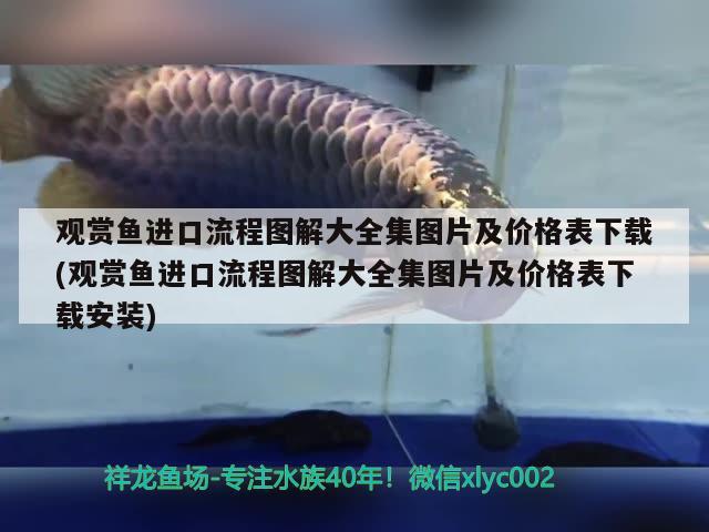 廣州水族館紅龍魚異常江湖救急 斯維尼關(guān)刀魚 第2張