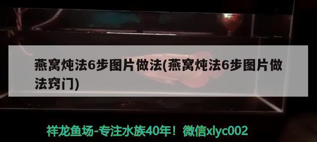 燕窩燉法6步圖片做法(燕窩燉法6步圖片做法竅門) 馬來西亞燕窩