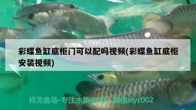 彩蝶魚缸底柜門可以配嗎視頻(彩蝶魚缸底柜安裝視頻)