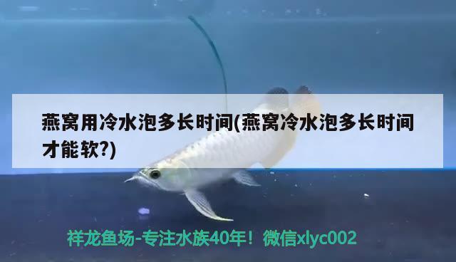 燕窩用冷水泡多長時間(燕窩冷水泡多長時間才能軟?) 馬來西亞燕窩