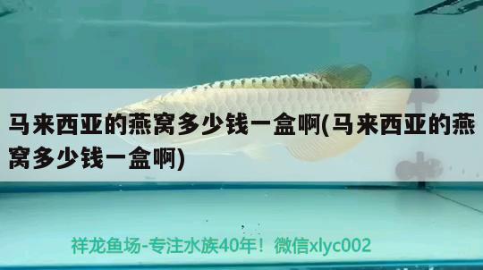 龍魚都有哪些種類的：龍魚都有哪些種類的魚