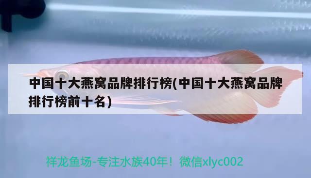 泰國金花幻彩羅漢魚苗和彩虹金花羅漢魚的區(qū)別是什么 泰國虎魚（泰虎） 第1張