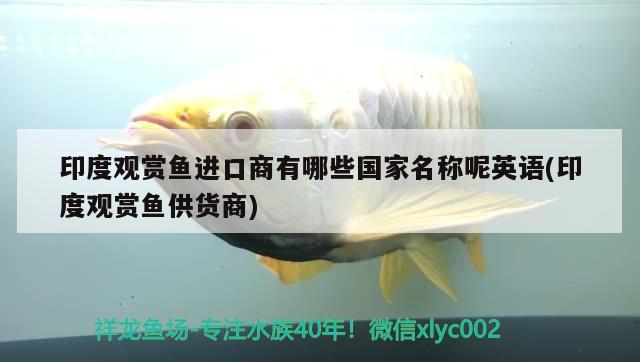 印度觀賞魚進口商有哪些國家名稱呢英語(印度觀賞魚供貨商) 觀賞魚進出口