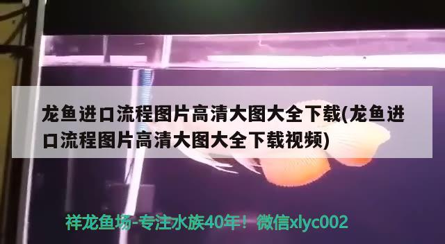 沈陽魚缸維修電話號碼查詢沈陽魚缸維修電話號碼是多少號啊，沈陽魚缸維修電話號碼是多少號啊 養(yǎng)魚知識 第2張