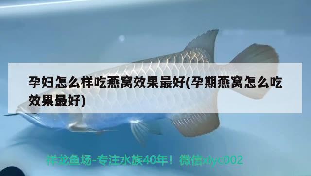 孕婦怎么樣吃燕窩效果最好(孕期燕窩怎么吃效果最好) 馬來西亞燕窩