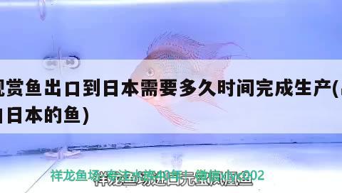 觀賞魚出口到日本需要多久時(shí)間完成生產(chǎn)(出口日本的魚) 觀賞魚進(jìn)出口