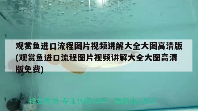 觀賞魚進口流程圖片視頻講解大全大圖高清版(觀賞魚進口流程圖片視頻講解大全大圖高清版免費) 觀賞魚進出口