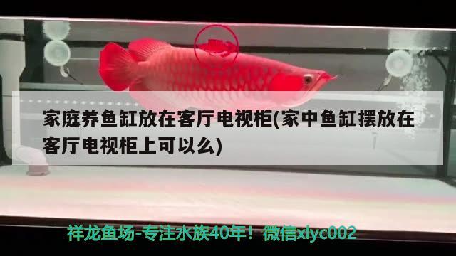 家庭養(yǎng)魚缸放在客廳電視柜(家中魚缸擺放在客廳電視柜上可以么)