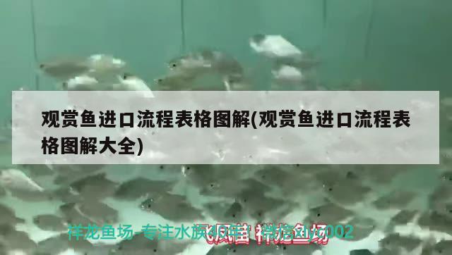 觀賞魚進(jìn)口流程表格圖解(觀賞魚進(jìn)口流程表格圖解大全) 觀賞魚進(jìn)出口