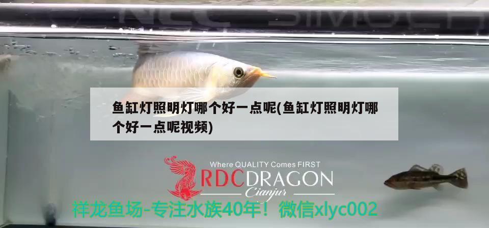 魚缸燈照明燈哪個好一點呢(魚缸燈照明燈哪個好一點呢視頻)