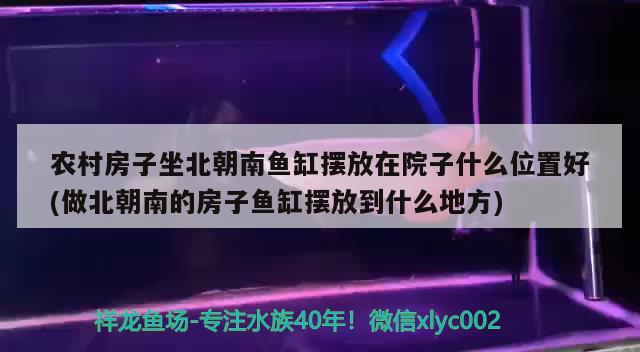 農村房子坐北朝南魚缸擺放在院子什么位置好(做北朝南的房子魚缸擺放到什么地方) 粗線銀版魚苗