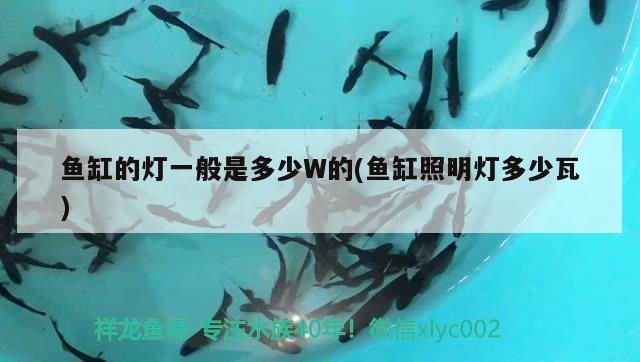 魚缸的燈一般是多少W的(魚缸照明燈多少瓦) 丹頂錦鯉魚