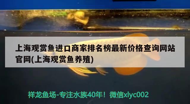 底濾魚缸排名(底濾魚缸排行榜) 水族用品 第3張