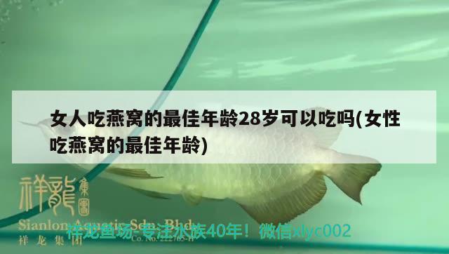 女人吃燕窩的最佳年齡28歲可以吃嗎(女性吃燕窩的最佳年齡) 馬來西亞燕窩