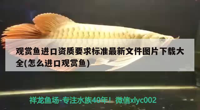 觀(guān)賞魚(yú)進(jìn)口資質(zhì)要求標(biāo)準(zhǔn)最新文件圖片下載大全(怎么進(jìn)口觀(guān)賞魚(yú))