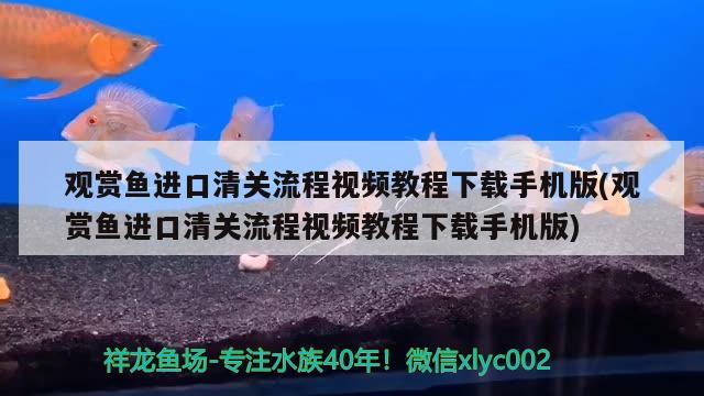 觀賞魚進口清關(guān)流程視頻教程下載手機版(觀賞魚進口清關(guān)流程視頻教程下載手機版) 觀賞魚進出口