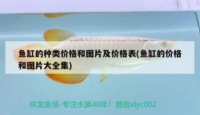 魚缸的種類價(jià)格和圖片及價(jià)格表(魚缸的價(jià)格和圖片大全集) 丹頂錦鯉魚