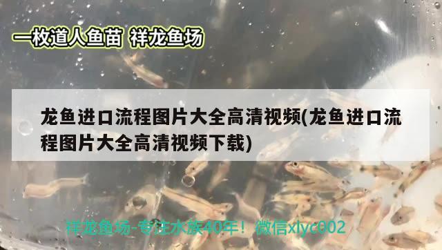 濱州魚缸清洗公司哪家好一點（濱州魚缸清洗公司哪家好一點的）