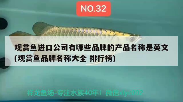 觀賞魚進口公司有哪些品牌的產(chǎn)品名稱是英文(觀賞魚品牌名稱大全排行榜)