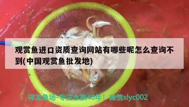 養(yǎng)小型熱帶魚用什么樣的魚缸（養(yǎng)小型熱帶魚用什么樣的魚缸比較好） 噴點菠蘿魚 第2張