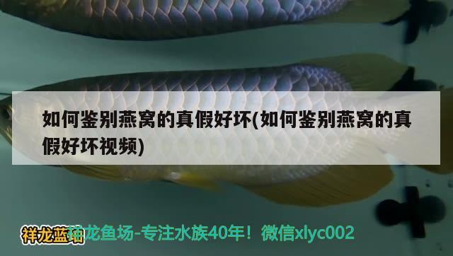 如何鑒別燕窩的真假好壞(如何鑒別燕窩的真假好壞視頻) 馬來(lái)西亞燕窩