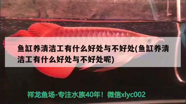 天王魚缸價格表：天王魚缸使用說明