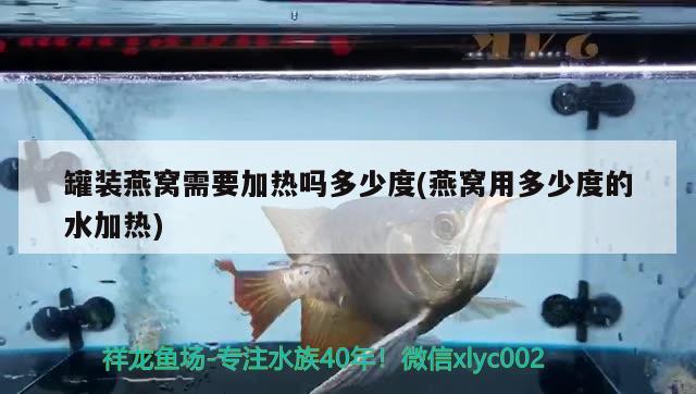 罐裝燕窩需要加熱嗎多少度(燕窩用多少度的水加熱) 馬來西亞燕窩