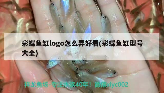 彩蝶魚缸logo怎么弄好看(彩蝶魚缸型號大全) 南美異型魚