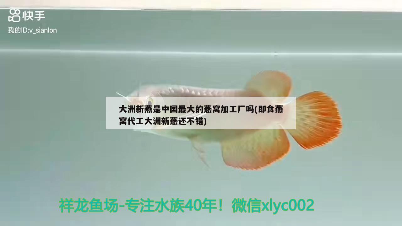 百色水族館喜歡的?個關注唄