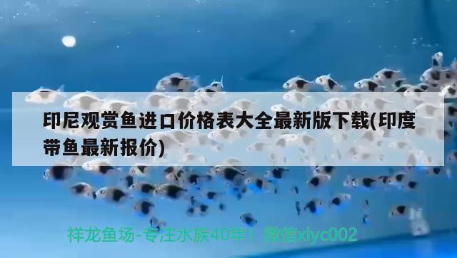 魚缸制氧機不制氧是壞了嗎？如何解決這個問題？，如何解決魚缸制氧機不制氧的問題？ 水族用品 第3張