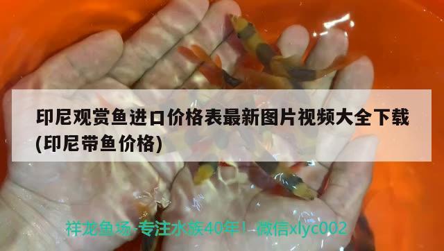 魚缸制氧機不制氧是壞了嗎？如何解決這個問題？，如何解決魚缸制氧機不制氧的問題？ 水族用品 第1張