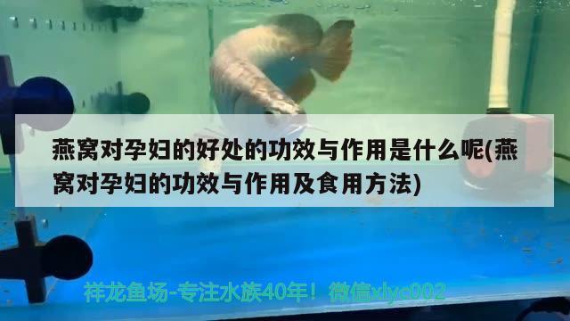 紅海魚缸底柜圖片大全（魚缸底柜門大家一般用什么材料） 祥龍水族護(hù)理水 第2張