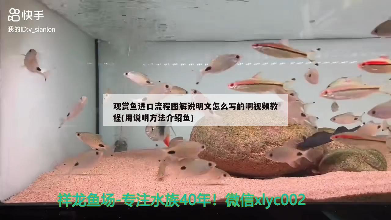 魚缸過濾器需要一直開著嗎（魚缸過濾器用一直開著嗎） 其他品牌魚缸