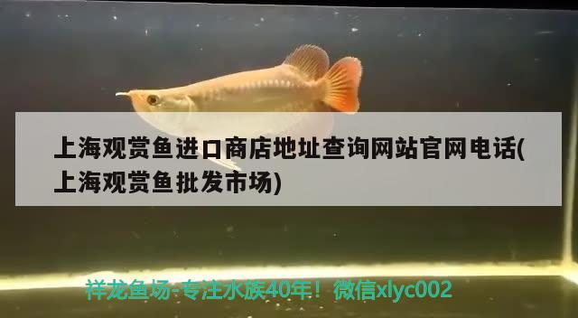 自貢哪里有定制做魚缸的廠家啊多少錢(云南魚缸定制) 黃金斑馬魚 第4張