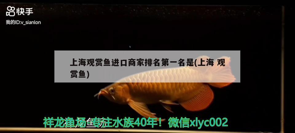 上海觀賞魚進(jìn)口商家排名第一名是(上海觀賞魚)