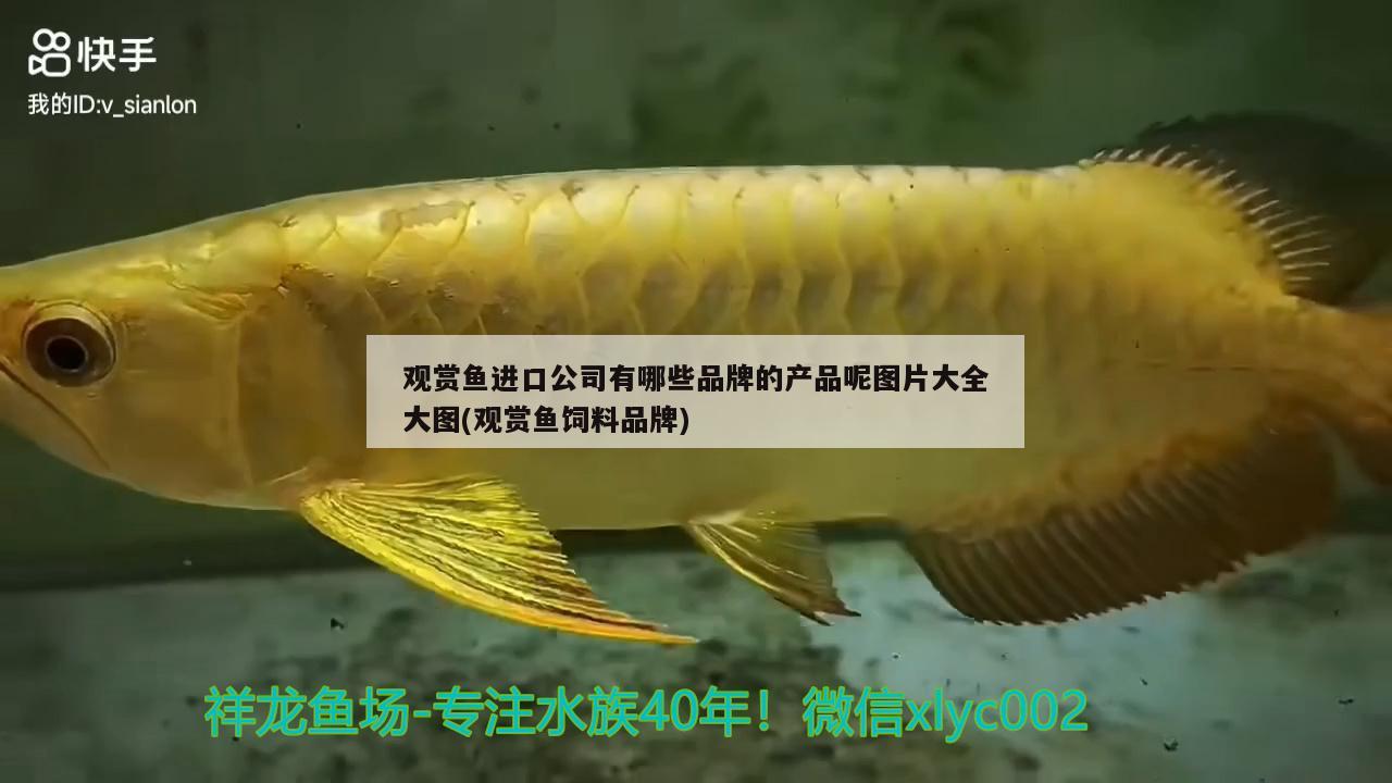 觀賞魚進(jìn)口公司有哪些品牌的產(chǎn)品呢圖片大全大圖(觀賞魚飼料品牌) 觀賞魚進(jìn)出口