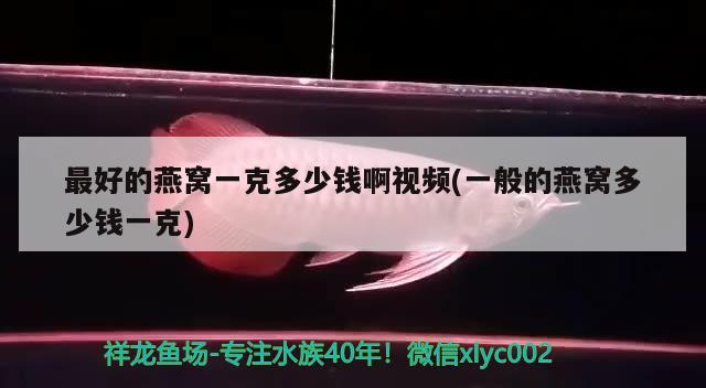 最好的燕窩一克多少錢啊視頻(一般的燕窩多少錢一克) 馬來西亞燕窩