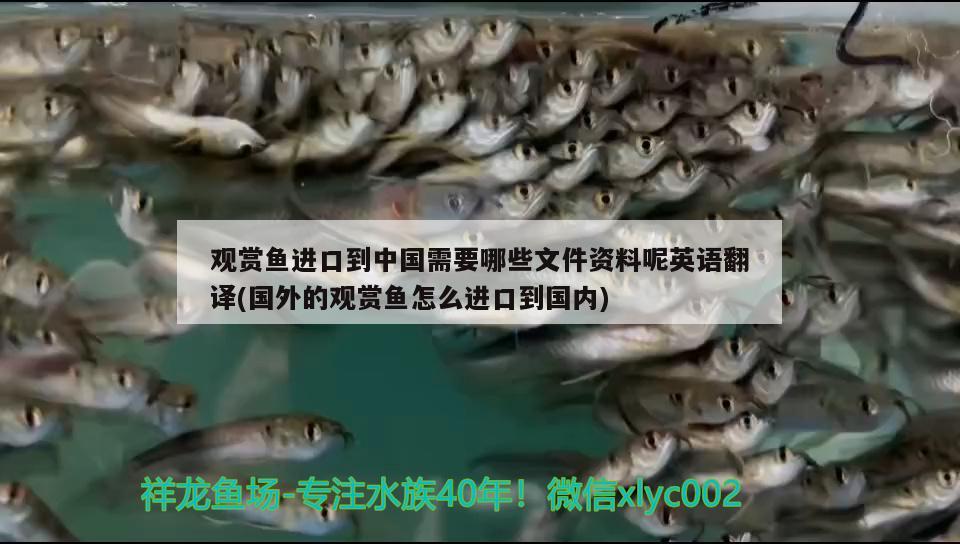 魚缸過濾泵抽水太快來不及過濾泵抽水太快怎么辦，關于魚缸過濾器的問題