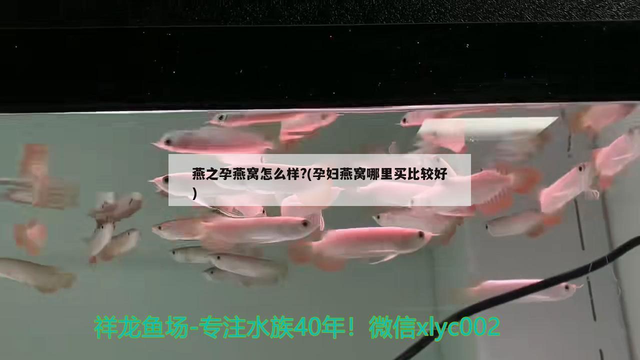 哪個品牌的魚缸水泵質量好些