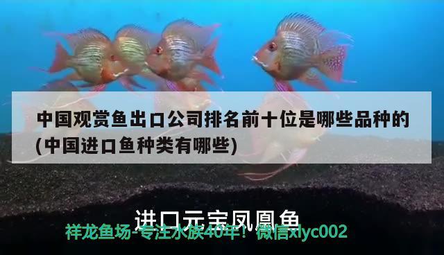 中國觀賞魚出口公司排名前十位是哪些品種的(中國進(jìn)口魚種類有哪些) 觀賞魚進(jìn)出口