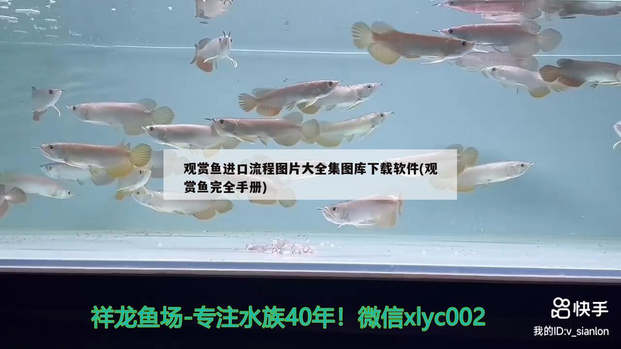 觀賞魚進(jìn)口流程圖片大全集圖庫下載軟件(觀賞魚完全手冊(cè))