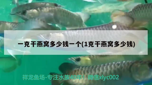 太康縣秀明銀城花卉店 全國水族館企業(yè)名錄