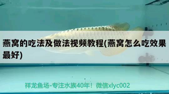 魚缸上面用什么蓋好一點（魚缸蓋上放什么擺件好） 金龍魚糧 第1張